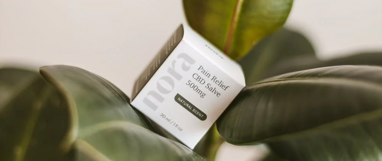 Things to know before trying out